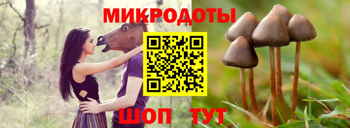 Прохладный  Галлюциногенные грибы мицелий  Вход с VPN 